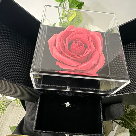Box Anello solitario oro e zircone