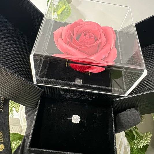 Box del Anello Magic oro e zirconi