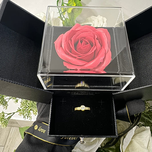 box Anello solitario greca oro