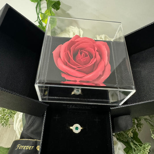 Box Anello cerchio oro e zirconi