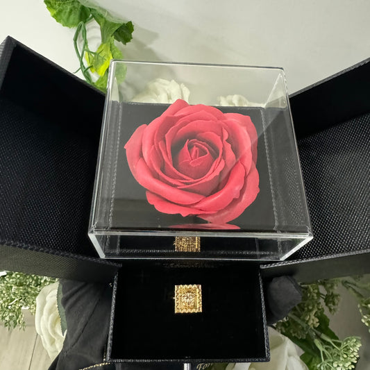 Box Anello stemma medusa oro