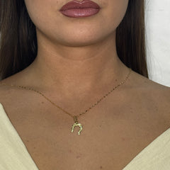 Collana con ferro di cavallo oro
