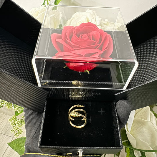 box Anello serpente oro e zirconi