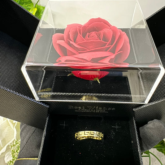 Box Anello Uomo/Donna greca forato oro